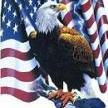 EagleWing