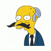 Mr Snrub