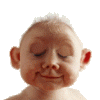 albert1234